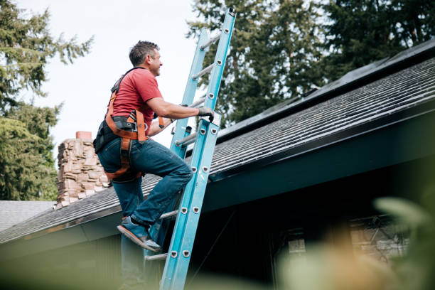 Best Siding  in Piedmont, CA